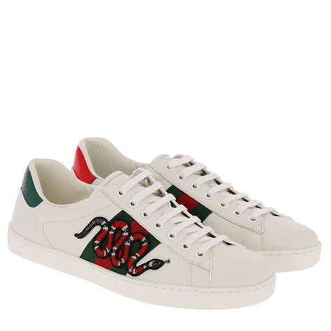 scarpe gucci sneakers serpente|gucci sneaker bianco.